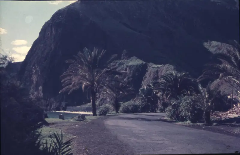 Avenida de Los Indianos